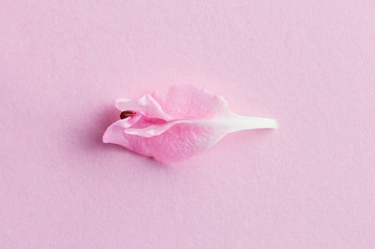 The Truth About Vaginal Odor: Causes, Myths, and Natural Solutions